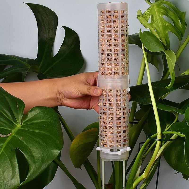 Sphagnum Moss Dry - 蘭やモンステラのつる性植物用のスファグナムモス支柱、プラスチック製モススティック、植物サポート、園芸用品