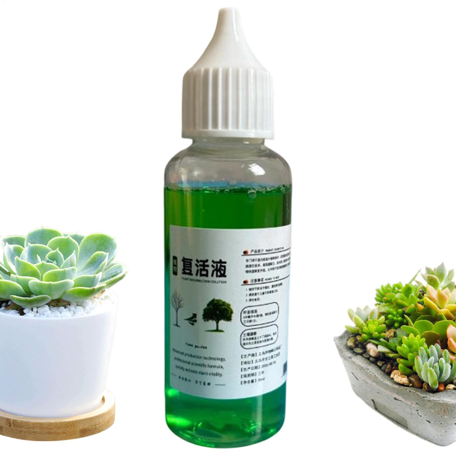 植物用根刺激剤 液体発根促進剤 50ml 有機・天然成分配合 - Root Stimulator Liquid のレビューと価格