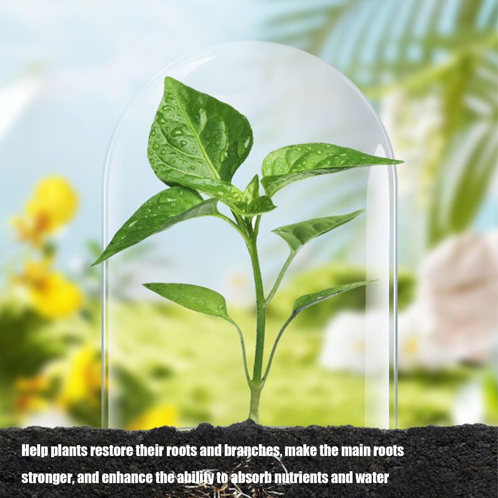 植物用根刺激剤 液体発根促進剤 50ml 有機・天然成分配合 - Root Stimulator Liquid のレビューと価格