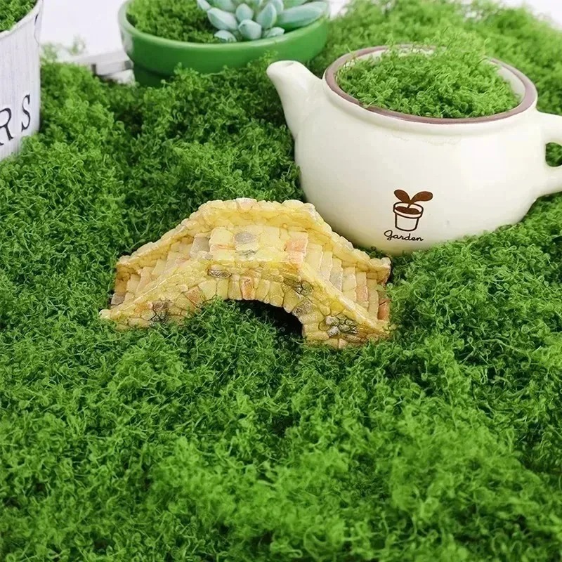 人工モス フェイクモス 工芸品、鉢植え、フェアリーガーデン、 - Sphagnum Moss Dry のレビューと価格