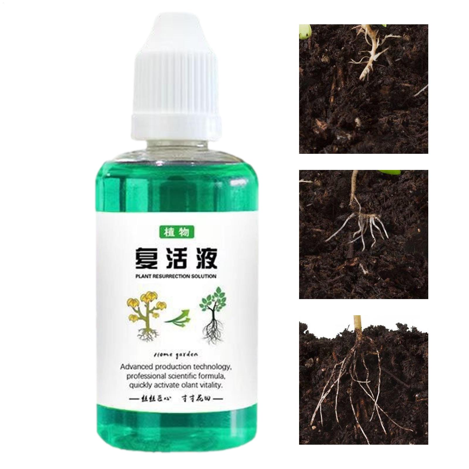 植物用根刺激剤 50ml 植物成長促進剤 多肉植物根ブースタ - Root Stimulator Liquid のレビューと価格
