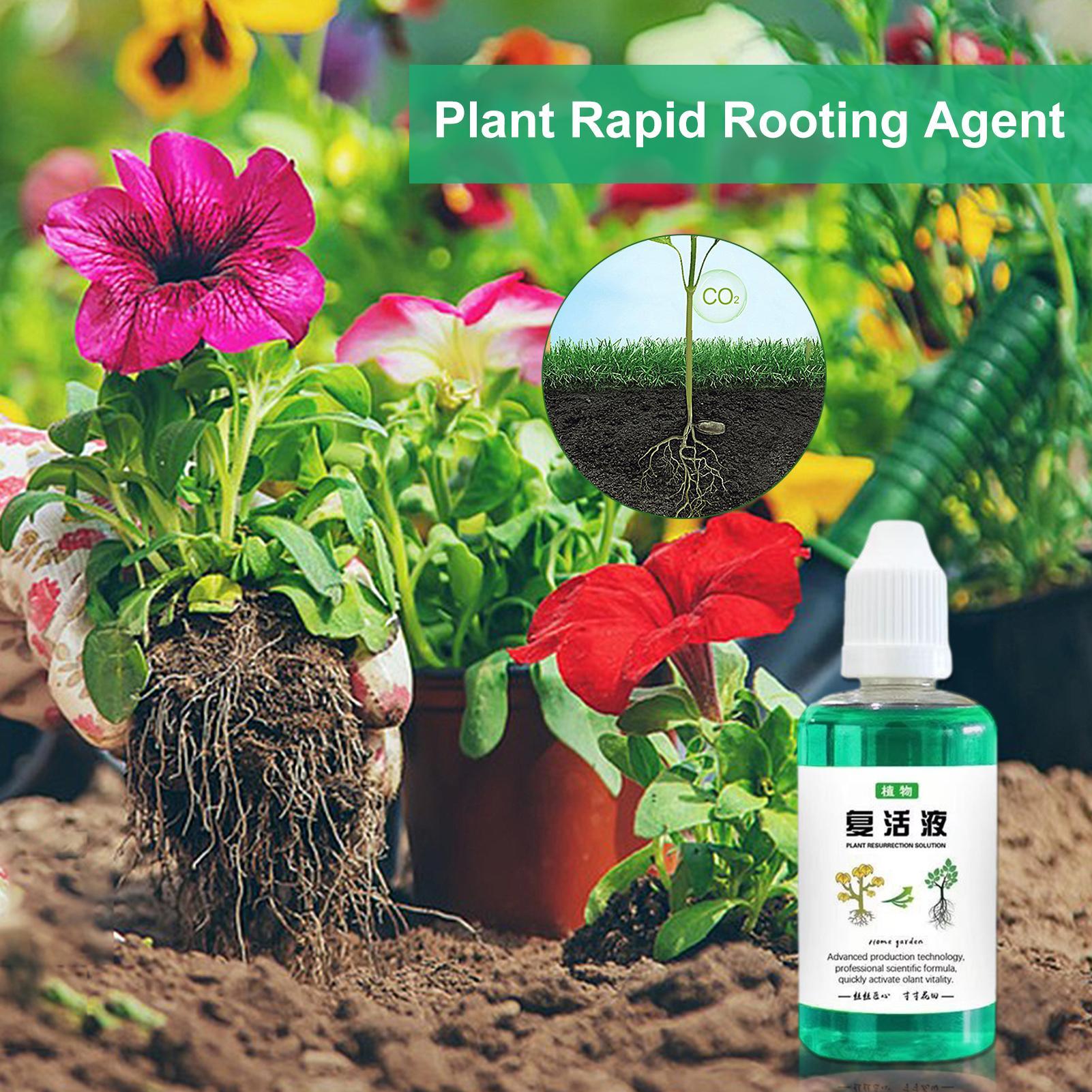 植物用根刺激剤 50ml 植物成長促進剤 多肉植物根ブースタ - Root Stimulator Liquid のレビューと価格