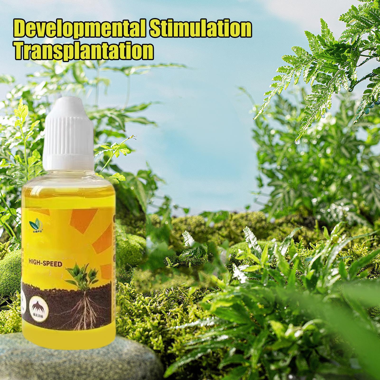 速効性植栽発根植物栄養液サプリメントガーデンツール植物栄養液 - Root Stimulator Liquid のレビューと価格